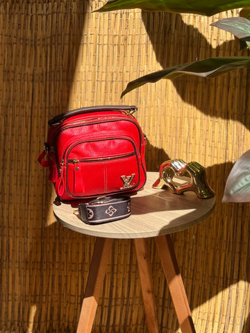 Louis Viton Bag